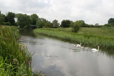 Rufford Canal