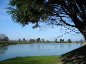 Twin Lakes Fishery